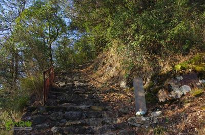 龙泉昴山风景区(锦溪镇一鉴心寺一昴山古道一老鹰岩一灵感寺一马鞍背一锦溪镇)