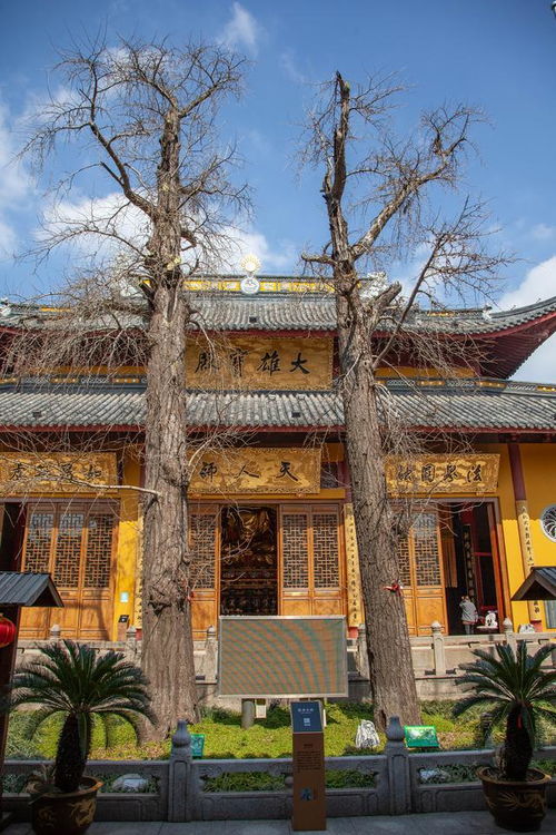 崇明寿安寺,始建于南宋,原名福安寺,国内唯一香樟木雕四面财神