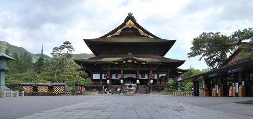 你的呱儿子在 青蛙旅行 里去的景点,原来都大有来头