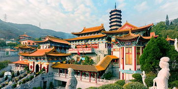 top booking推荐 带你享便靓正星级酒店,玩转香港打卡点
