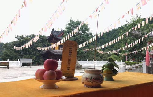 鹿湖禅寺历届法会回顾,感恩多年来各方善信的发心护持,福田无边,功德无量 文化 网