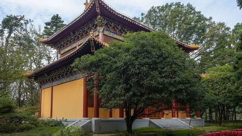 杜牧辞官照顾弟弟,在禅智寺写下一诗,颇具匠心,读来令人心动
