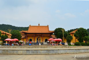 洗心禅寺随拍