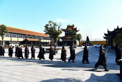 盐城旅游年卡 射阳息心寺