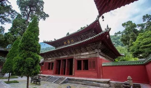 藏在四川的寺庙,全寺有9999条龙被称 龙宫 ,距平武县2.3公里