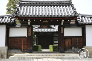 京都妙心寺 日本最大的禅寺