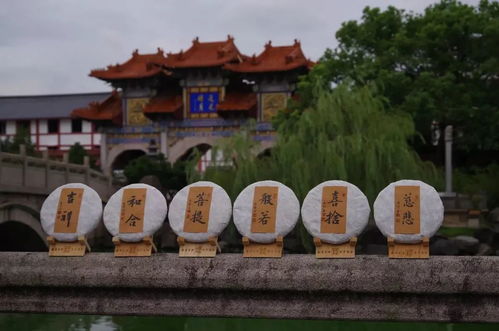 走进深山的80后年轻僧人 发愿建出一座可以 发呆 的水月道场