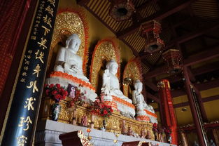 洗心禅寺