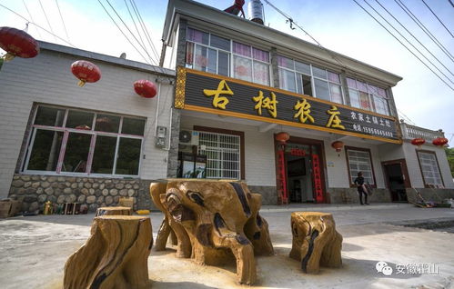 关注 此心安处是吾乡 单龙寺小镇 十里山水画廊 ,看一眼就醉了