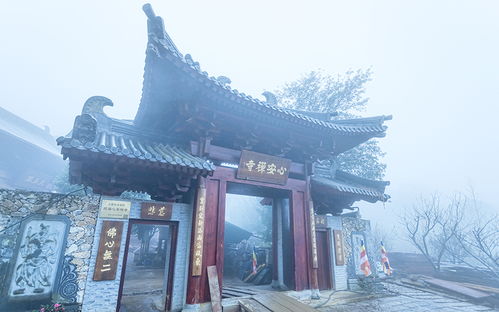 纪念唯田大师诞辰一百廿八周年暨心安禅寺大雄宝殿上梁庆典圆满举行