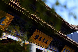 善念灵动 心沐光影 西安大兴善寺