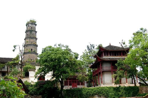 超详参观攻略来啦 箱包人,咱们蓝山见