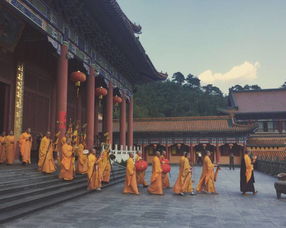 赏红叶,听禅音,不必远赴东瀛 只有诗和童话里才有的秋日森林就在你的身边