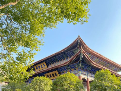 平安夜话 ︱一览读后感 纽约25x25,我们学到了什么,西安在街区改造上做对了什么