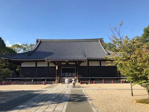 大阪 京都和东京的七日漫步