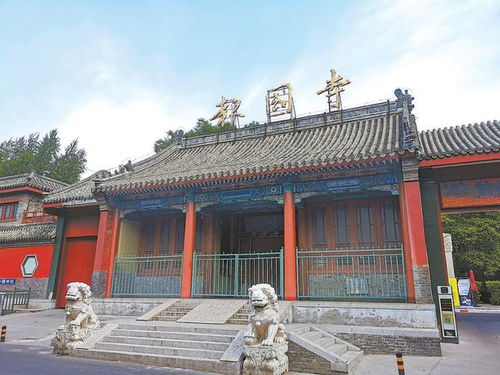 练摊
