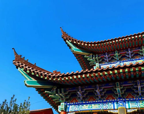 济南旁有座定慧寺,被称为 黄河以北第一名刹 ,距离市中心仅20公里