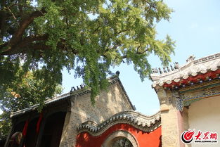 浮来山景区 千年古寺风韵在骨 福山灵地美景藏心